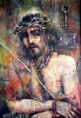 /album/fotogaleria/cimg0478-jpg/